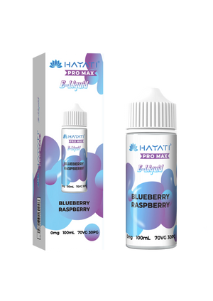 Blueberry Raspberry 100ml