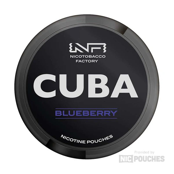 Blueberry Nicotine Pouches