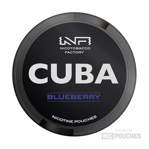 Blueberry Nicotine Pouches