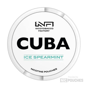 Ice Spearmint Nicotine Pouches